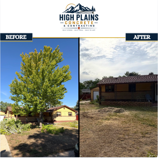 Before and after of Large Front-Yard Tree Removal in Lakewood, CO